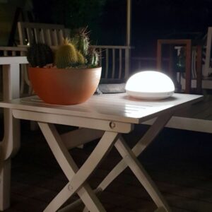 Trion Beneito Faure Lampada Da Tavolo Led Ricaricabile
