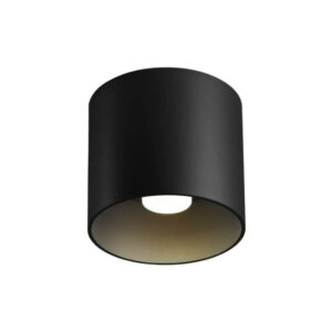 Ray 1.0 Wever & Ducrè Plafone Led Cilindrico 2700K