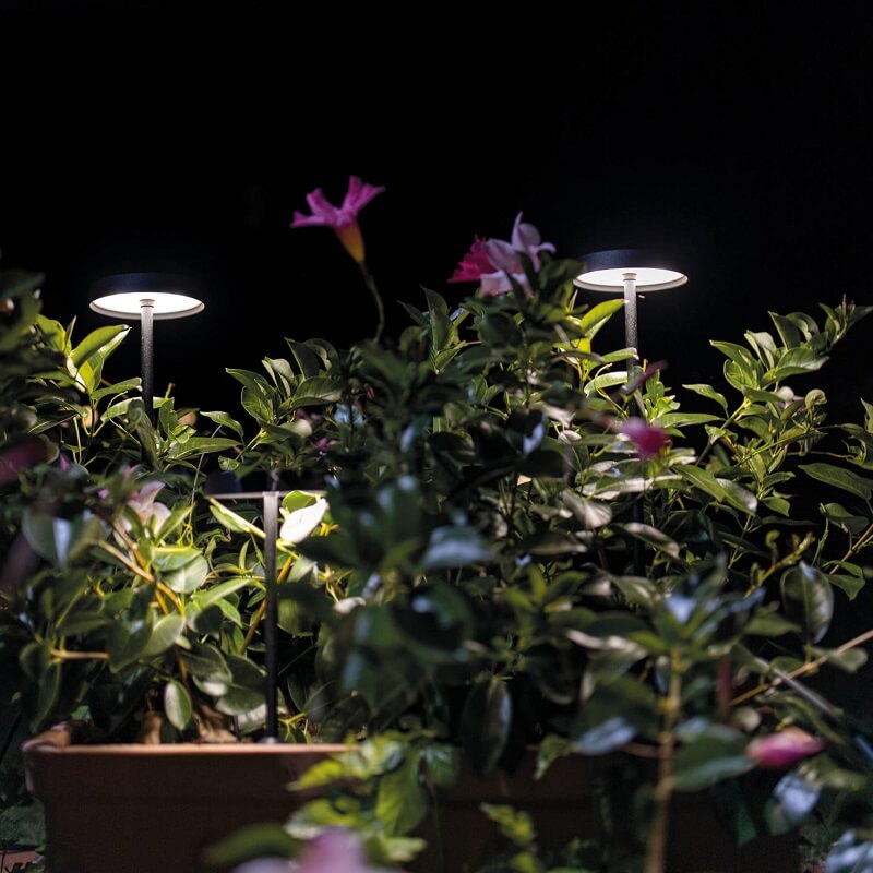 Pistillo Decòrative Linea Light palo led da esterno IP65 atmosfera
