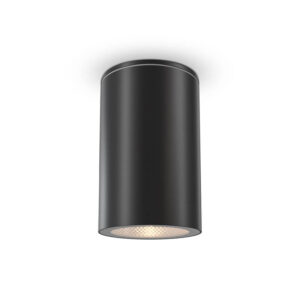 Roll Maytoni Lampada a Soffitto IP54 per Esterni